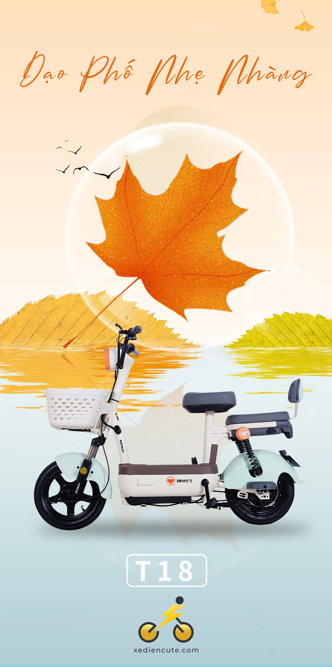 xe đạp điện T18